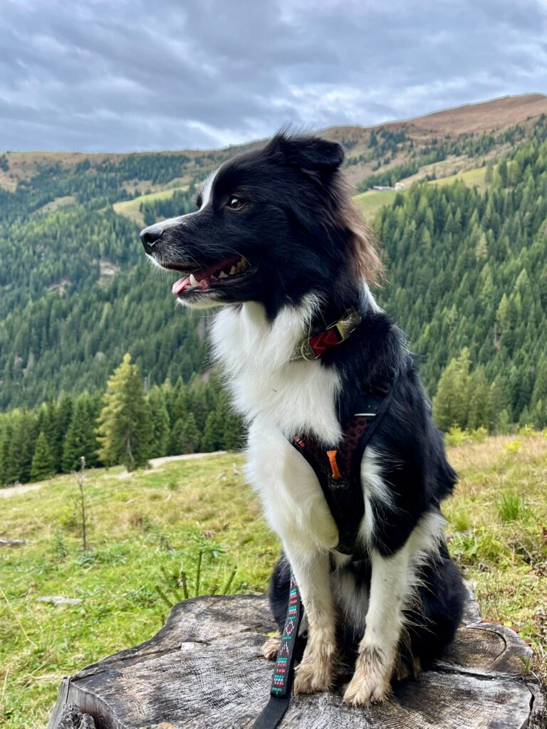 c20ffc09-edb4-4fbe-87ec-87081a675105